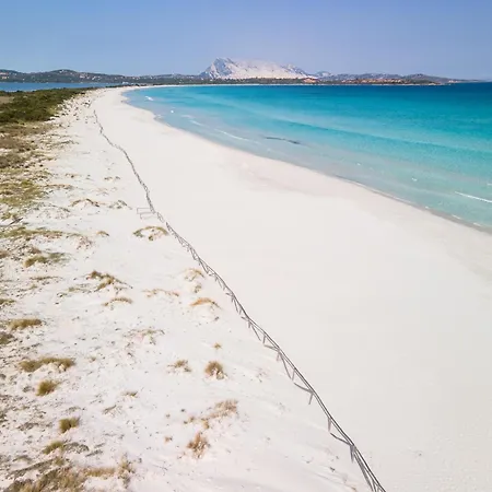 Ginestra * San Teodoro (Sardinia)