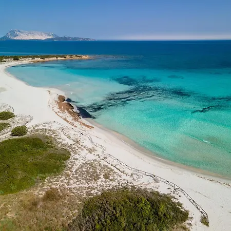 Ginestra Villa San Teodoro (Sardinia)