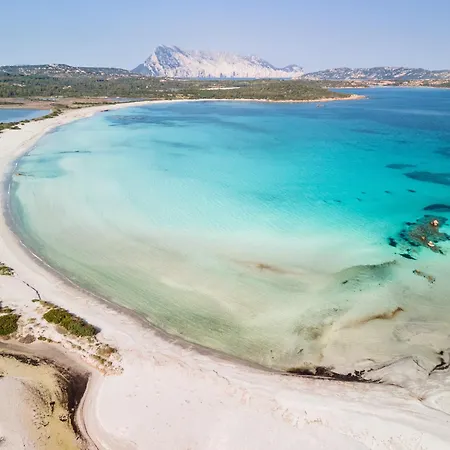 Ginestra Villa San Teodoro (Sardinia)