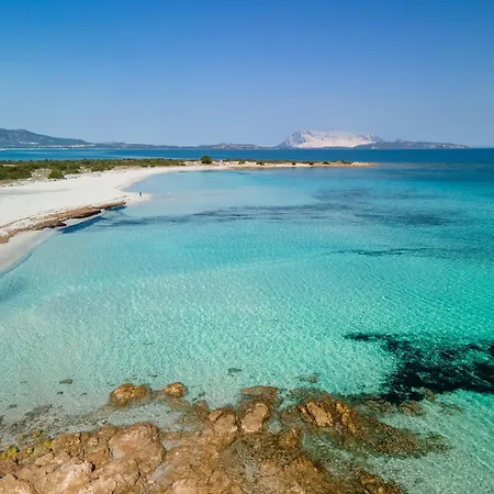 Ginestra Villa San Teodoro (Sardinia)