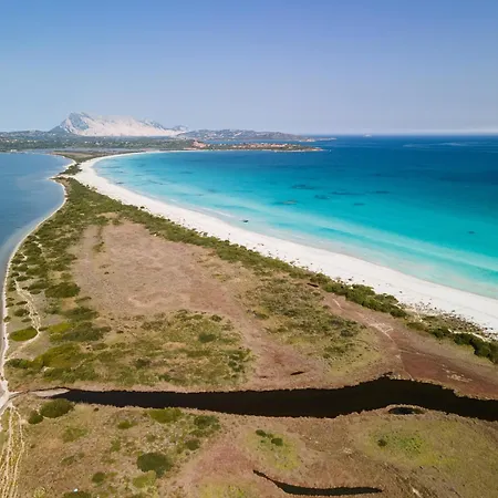 Ginestra San Teodoro (Sardinia)