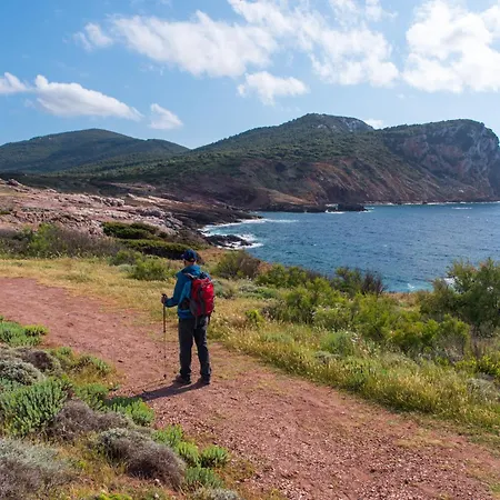 Ginestra Vila San Teodoro (Sardinia)
